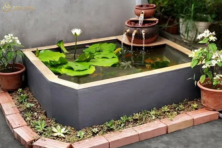 Hồ Cá Ngoài Trời Đơn Giản: Hướng Dẫn Chi Tiết Từ A-z Cho Người Mới
