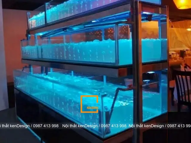 Hồ Hải Sản Nhà Hàng: Thiết Kế, Thi Công & Chăm Sóc Chi Tiết