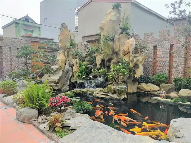Top Tiệm Hồ Cá Uy Tín Quận 9: Cửa Hàng Cá Cảnh, Hồ Hải Sản & Dịch Vụ Thi Công