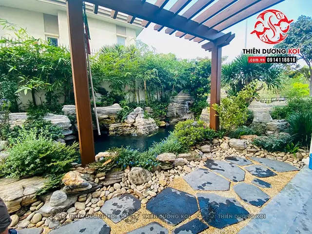 Top Tiệm Hồ Cá Uy Tín Quận 9: Cửa Hàng Cá Cảnh, Hồ Hải Sản & Dịch Vụ Thi Công