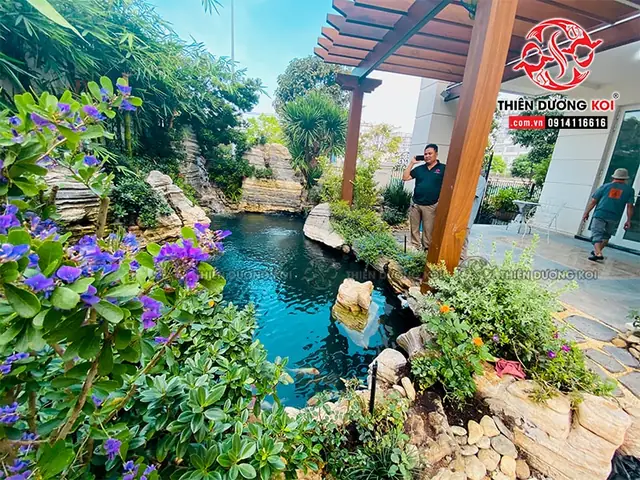 Top Tiệm Hồ Cá Uy Tín Quận 9: Cửa Hàng Cá Cảnh, Hồ Hải Sản & Dịch Vụ Thi Công