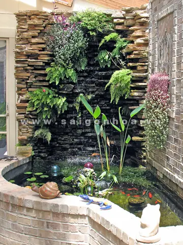 Hồ Cá Sát Tường Đẹp: Hướng Dẫn Chọn Mua, Lắp Đặt Và Ý Tưởng Trang Trí