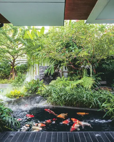 Hồ Cá Sau Nhà: Có Nên Xây Dựng, Hợp Phong Thủy & Kinh Nghiệm Thiết Kế