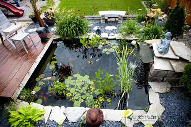 10+ Ý Tưởng Hồ Cá Tự Làm Đẹp Đơn Giản, Tiết Kiệm Chi Phí Tại Nhà
