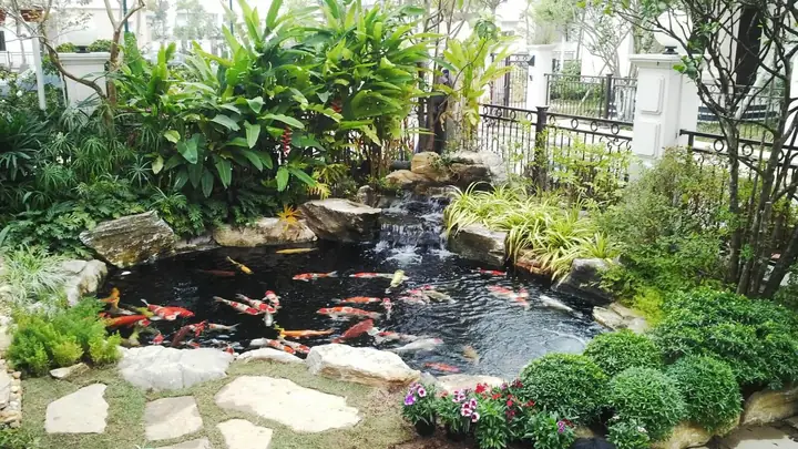 Hồ Cá Tự Nhiên: Hướng Dẫn Thi Công, Thiết Kế & Chăm Sóc Toàn Diện