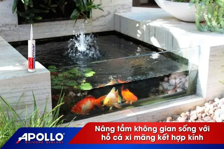 Hồ Cá Xi Măng Kết Hợp Kính: Hướng Dẫn Thi Công & Thiết Kế Đẹp