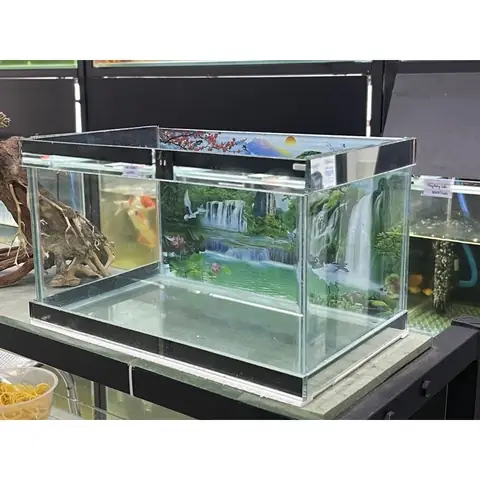 Hồ Kiếng Nuôi Cá Giá Rẻ: Bảng Giá, Kinh Nghiệm Chọn Mua & Lựa Chọn Tốt Nhất