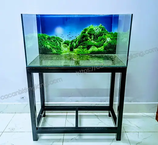 Hồ Kính Nuôi Cá Đẹp: Chọn Mẫu, Giá Tốt & Cách Trang Trí Hồ Kính Nuôi Cá Đẹp: Chọn Mẫu, Giá Tốt & Cách Trang Trí