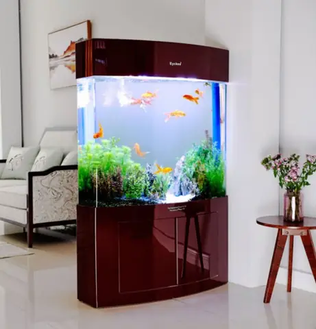 Hồ Nuôi Cá Cảnh Đẹp: Các Mẫu Thiết Kế Và Ý Tưởng Trang Trí Ấn Tượng Hồ Nuôi Cá Cảnh Đẹp: Các Mẫu Thiết Kế Và Ý Tưởng Trang Trí Ấn Tượng