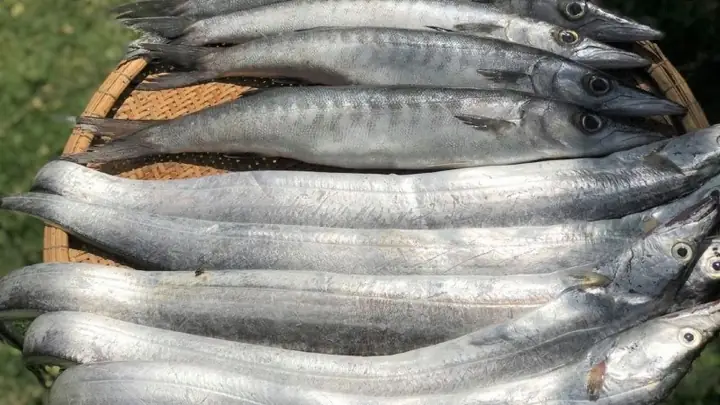 Hố Vảy Cá Là Gì? Phương Pháp Bảo Vệ Đất Và Tăng Cường Nước Trồng Trọt Hố Vảy Cá Là Gì? Phương Pháp Bảo Vệ Đất Và Tăng Cường Nước Trồng Trọt