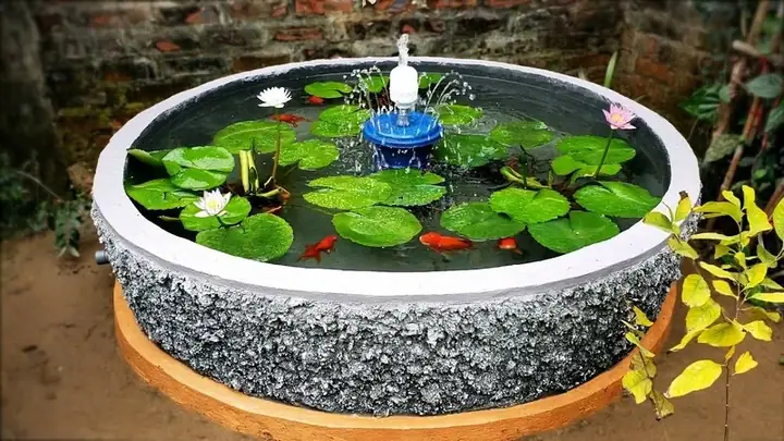 Hướng Dẫn Chi Tiết Cách Làm Hồ Xi Măng Nuôi Cá An Toàn & Hiệu Quả