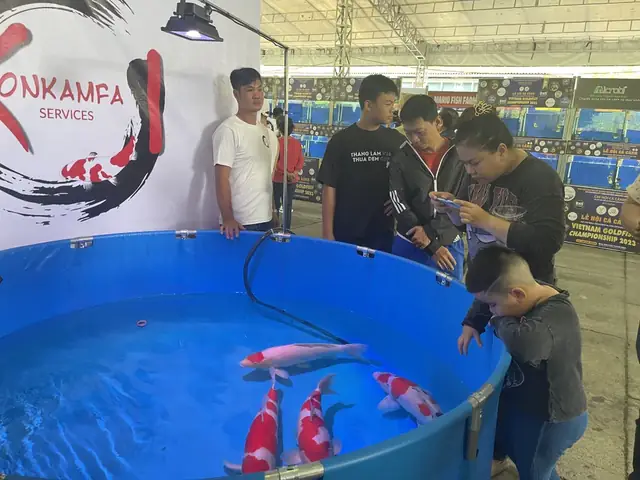 Lễ Hội Cá Cảnh Tp.hcm: Thông Tin Chi Tiết, Địa Điểm Và Thời Gian