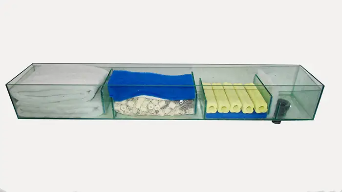 Hộp Kỹ Thuật Bể Cá Rồng: Hướng Dẫn Setup, Cấu Tạo & Lợi Ích