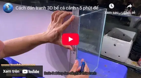 Hướng Dẫn Chi Tiết Cách Dán Tranh 3d Bể Cá Đẹp, Bền