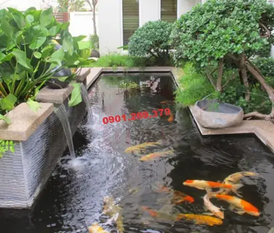 Hướng Dẫn Chi Tiết Cách Làm Thác Nước Hồ Cá Đẹp Và Độc Đáo