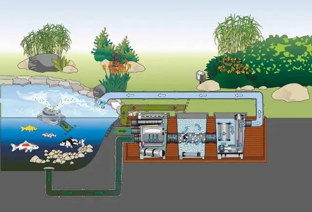 Hướng Dẫn Chi Tiết Cách Lắp Máy Lọc Nước Hồ Cá Dễ Dàng Cho Mọi Người