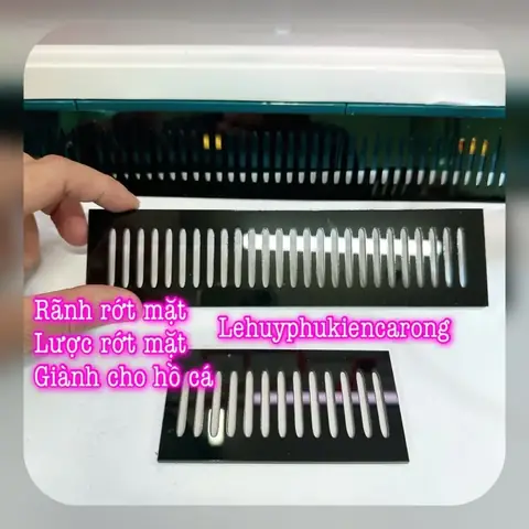 Hút Mặt Hồ Cá Rồng: Hướng Dẫn Lắp Đặt & Lựa Chọn Thiết Bị Phù Hợp