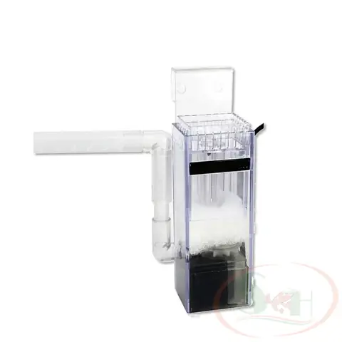 Hút Váng Bể Cá: Hướng Dẫn Chi Tiết & Giải Pháp Hiệu Quả Nhất Hút Váng Bể Cá: Hướng Dẫn Chi Tiết & Giải Pháp Hiệu Quả Nhất