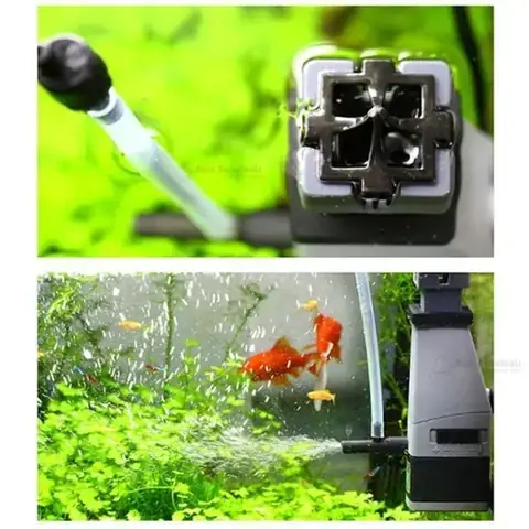 Hút Váng Bể Cá: Hướng Dẫn Chi Tiết & Giải Pháp Hiệu Quả Nhất Hút Váng Bể Cá: Hướng Dẫn Chi Tiết & Giải Pháp Hiệu Quả Nhất
