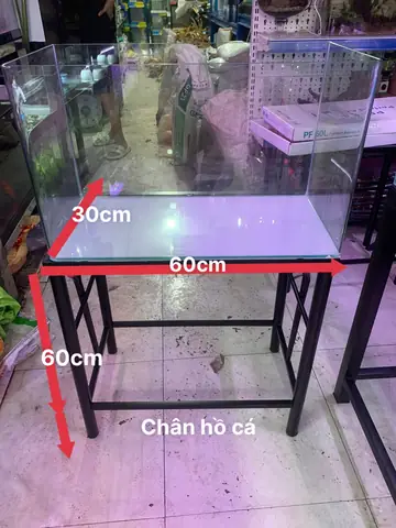 Kệ Hồ Cá Bằng Sắt: Hướng Dẫn Chọn Mua & 10 Mẫu Tốt Nhất