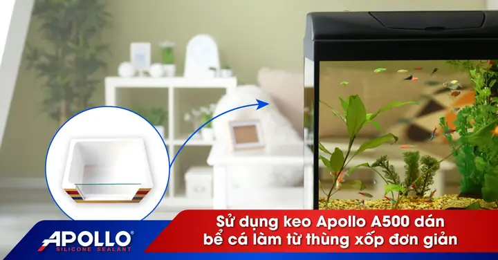 Keo Apollo A500: Hướng Dẫn Chọn Lựa Và Sử Dụng Hiệu Quả Cho Bể Cá Keo Apollo A500: Hướng Dẫn Chọn Lựa Và Sử Dụng Hiệu Quả Cho Bể Cá