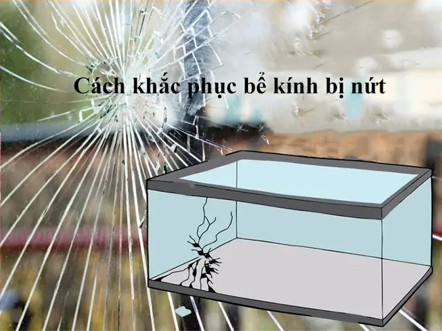 Keo Dán Kính Bể Cá Bị Nứt: Hướng Dẫn Khắc Phục Hiệu Quả & Lựa Chọn Tốt Nhất