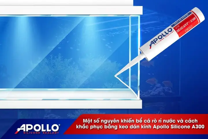 Keo Dán Kính Bể Cá Bị Nứt: Hướng Dẫn Khắc Phục Hiệu Quả & Lựa Chọn Tốt Nhất