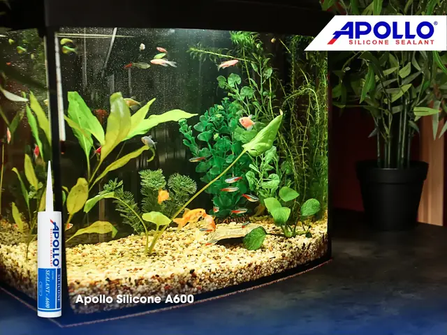 Keo Đen Dán Bể Cá: Hướng Dẫn Chọn Lựa Và Kỹ Thuật Dán Chuẩn Đẹp
