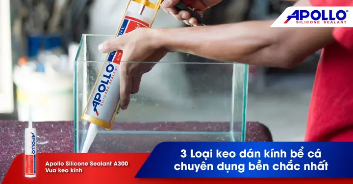 Keo Gắn Đá Bể Cá: Loại Nào Tốt Nhất & Cách Dán Chuẩn Nhất 2024