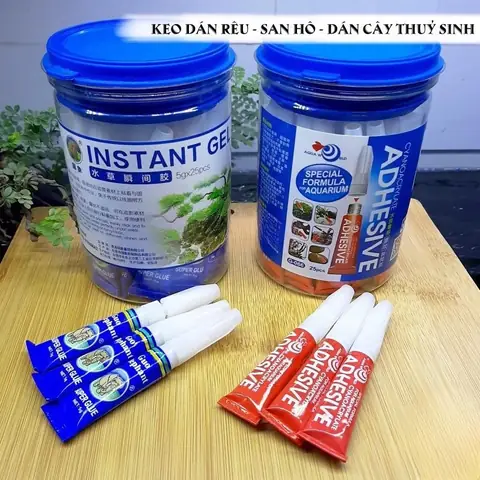 Keo Gắn Đá Bể Cá: Loại Nào Tốt Nhất & Cách Dán Chuẩn Nhất 2024
