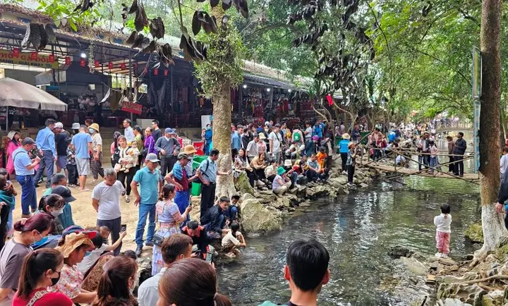 Khám Phá Suối Cá Thần Thanh Hóa: Huyền Thoại Và Điểm Đến Hấp Dẫn