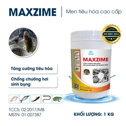 Kháng Sinh Tự Nhiên Cho Cá: Lựa Chọn An Toàn & Hiệu Quả