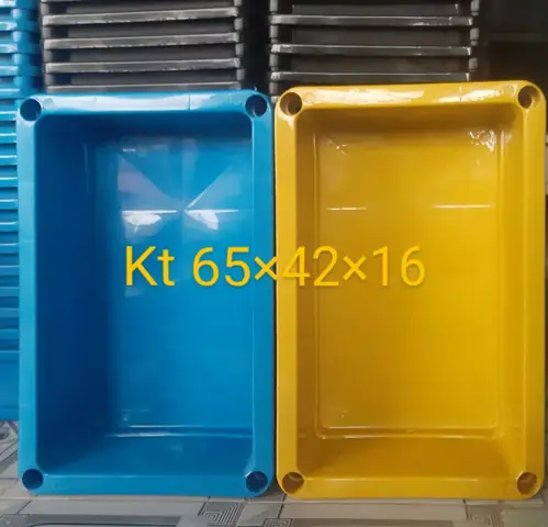 Khay Nhựa Nuôi Cá Bảy Màu: Hướng Dẫn Chọn Mua & Sử Dụng Chi Tiết