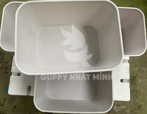 Khay Nhựa Nuôi Cá Bảy Màu: Hướng Dẫn Chọn Mua & Sử Dụng Chi Tiết