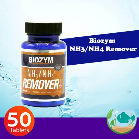 Khử Amoniac Bể Cá: Nguyên Nhân, Tác Hại Và Cách Xử Lý Hiệu Quả