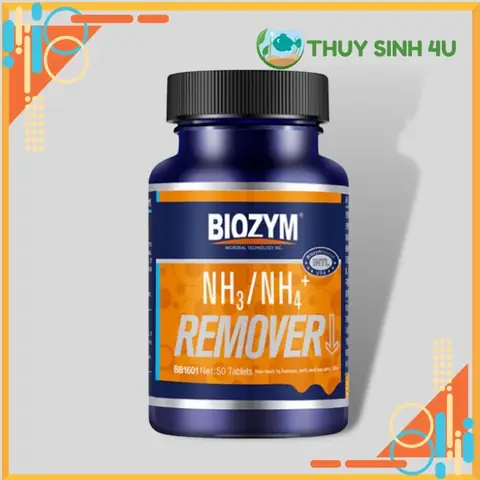Khử Amoniac Bể Cá: Nguyên Nhân, Tác Hại Và Cách Xử Lý Hiệu Quả