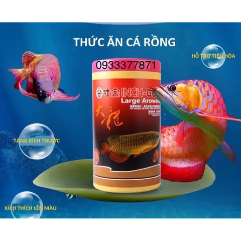 Bí Quyết Kích Thích Cá Rồng Ăn Ngon Miệng: Hướng Dẫn Toàn Diện
