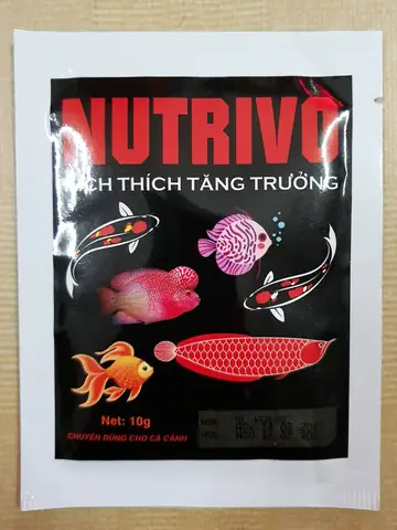 Bí Quyết Kích Thích Cá Rồng Ăn Ngon Miệng: Hướng Dẫn Toàn Diện