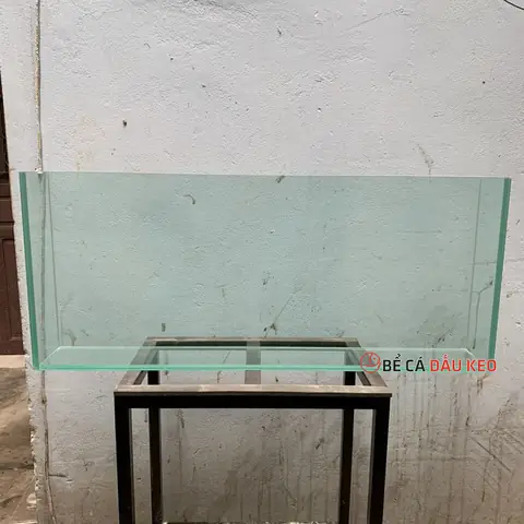 Kích Thước Bể Cá Treo Tường: Hướng Dẫn Chọn Lựa Phù Hợp Với Mọi Không Gian