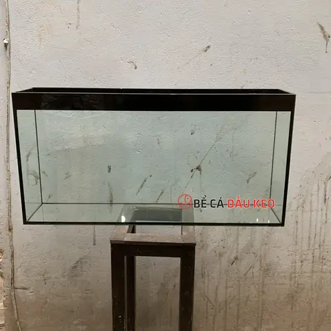 Kích Thước Bể Cá Treo Tường: Hướng Dẫn Chọn Lựa Phù Hợp Với Mọi Không Gian