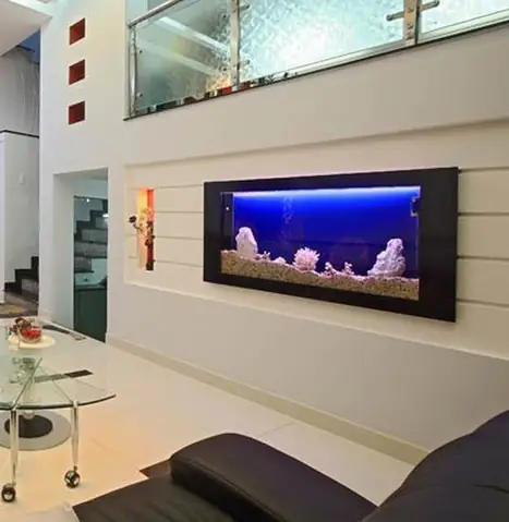 Kích Thước Bể Cá Treo Tường: Hướng Dẫn Chọn Lựa Phù Hợp Với Mọi Không Gian