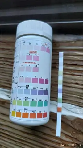 Hướng Dẫn Chi Tiết Cách Kiểm Tra Chất Lượng Nước Bể Cá Chuẩn Nhất