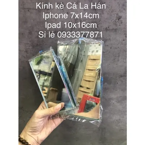 Kính Kè Cá La Hán: Công Dụng, Cách Sử Dụng & Lưu Ý Quan Trọng