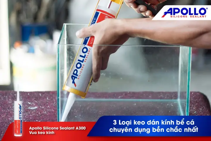 Kỹ Thuật Dán Kính Bể Cá: Hướng Dẫn Chi Tiết Từ A-z Đảm Bảo Chắc Chắn, Thẩm Mỹ Kỹ Thuật Dán Kính Bể Cá: Hướng Dẫn Chi Tiết Từ A-z Đảm Bảo Chắc Chắn, Thẩm Mỹ