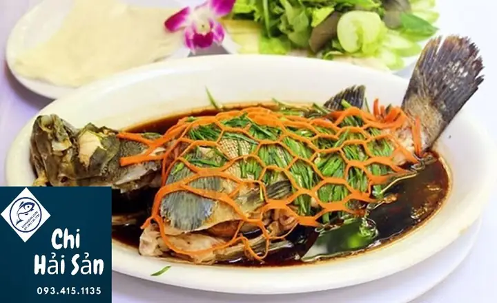Kỹ Thuật Nuôi Cá Ngọc Đế (cá Mú Úc): Hướng Dẫn Toàn Diện Từ A-z