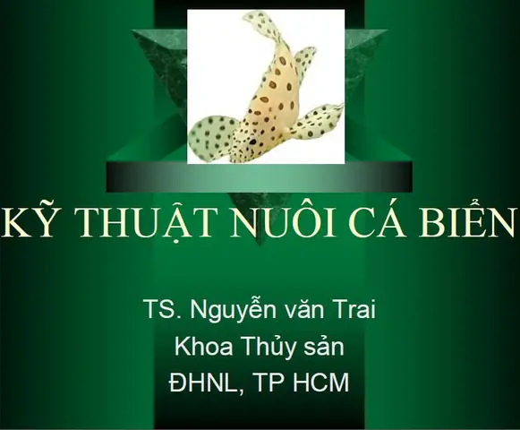 Hướng Dẫn Kỹ Thuật Nuôi Cá Nước Lợ Toàn Diện Cho Người Mới Bắt Đầu