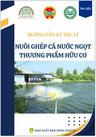 Kỹ Thuật Nuôi Ghép Cá Nước Ngọt: Hướng Dẫn Tối Ưu Năng Suất Từ A-z