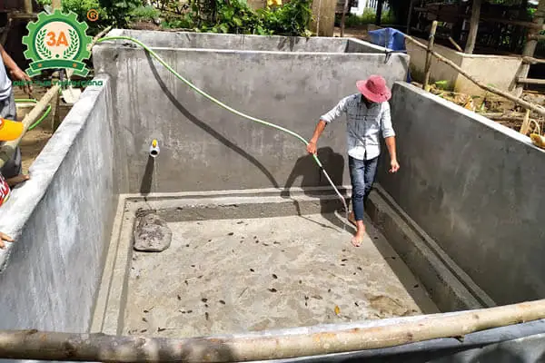 Hướng Dẫn Chi Tiết Kỹ Thuật Xây Bể Xi Măng Nuôi Cá Chuẩn