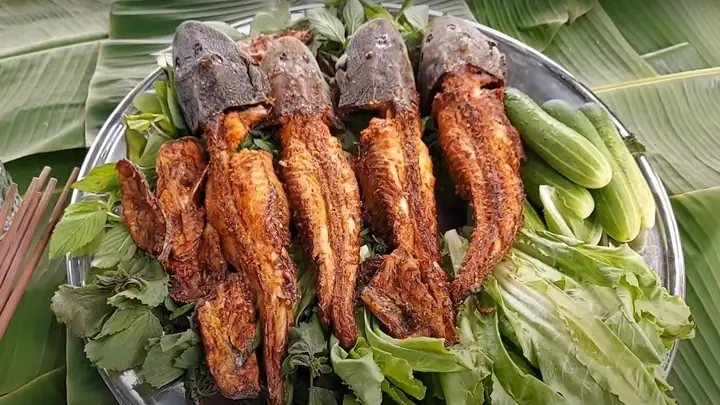 Cách Làm Cá Lau Kiếng Ngon, Sạch Vảy Và Chế Biến Đơn Giản
