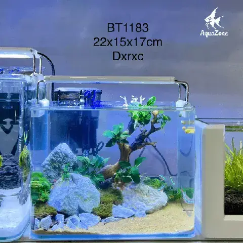 Hướng Dẫn Làm Hồ Cá Giá Rẻ: Tự Chế & Mua Ở Đâu Tốt Nhất